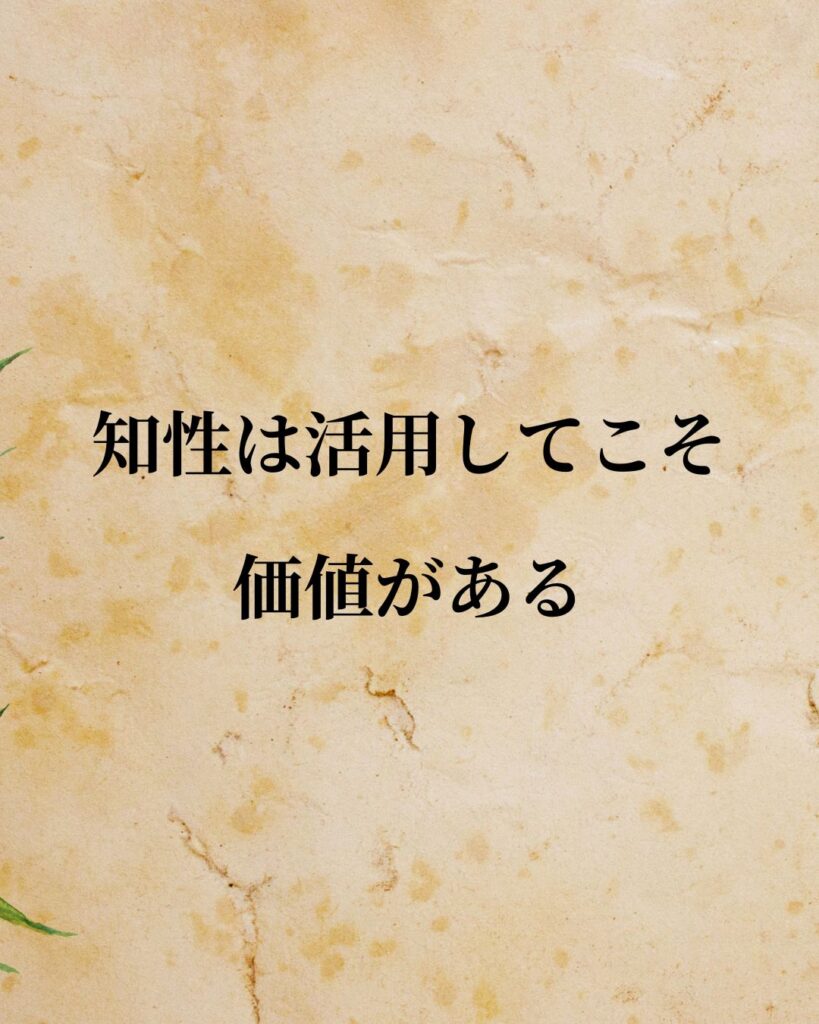 デカルト「知性は活用してこそ価値がある。」この名言のイラスト