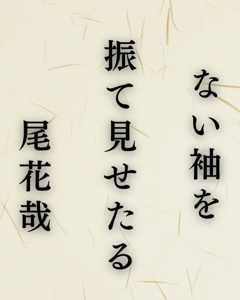 森川許六の秋の俳句5選-代表作をわかりやすく解説!「ない袖を 振て見せたる 尾花哉」この俳句を記載した画像