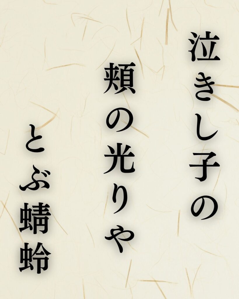 中村汀女の秋の俳句5選-代表作をわかりやすく解説!「泣きし子の 頬の光りや とぶ蜻蛉」この俳句を記載した画像