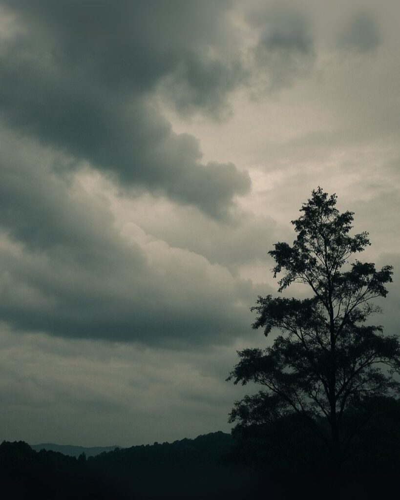 飯田蛇笏の秋の俳句5選-代表作をわかりやすく解説！「秋蝉の　なきしづみたる　雲の中」この俳句をイメージした画像