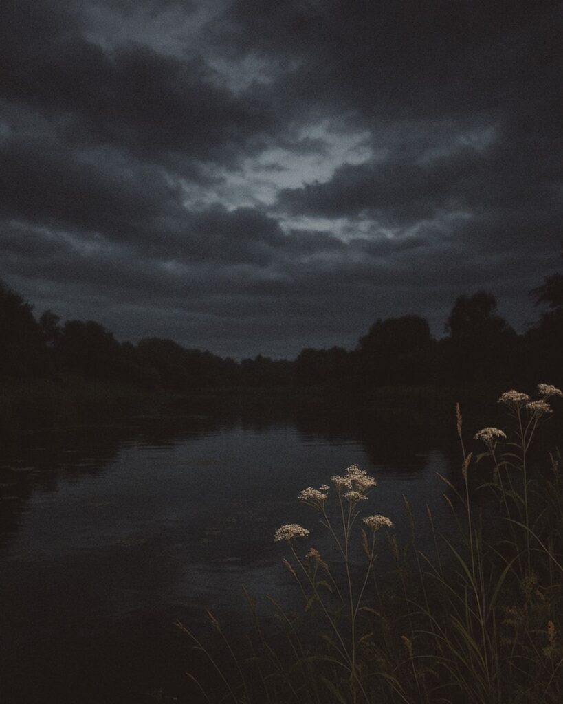 中村憲吉の秋の短歌5選-代表作をわかりやすく解説！「秋めきし 夜雲がもとの 暗き池かはづの鳴くは すでに稀なり」この短歌をイメージした画像