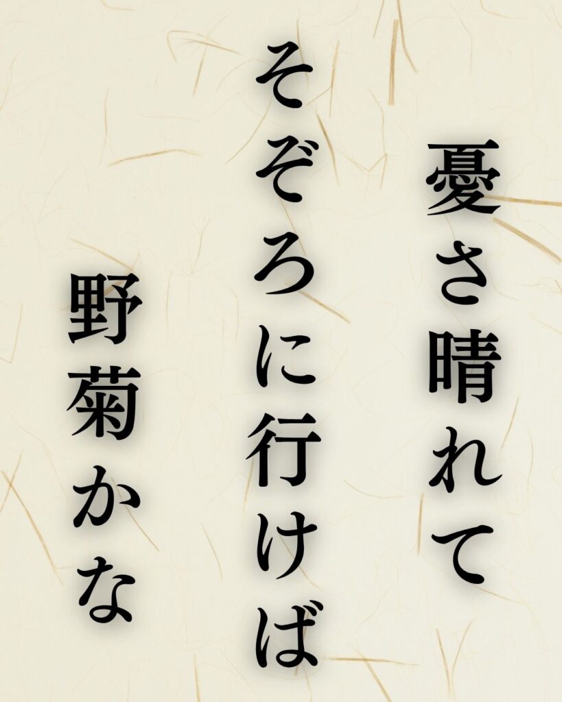 河東碧梧桐の秋の俳句5選-代表作をわかりやすく解説!「憂さ晴れて そぞろに行けば 野菊かな」この俳句を記載した画像