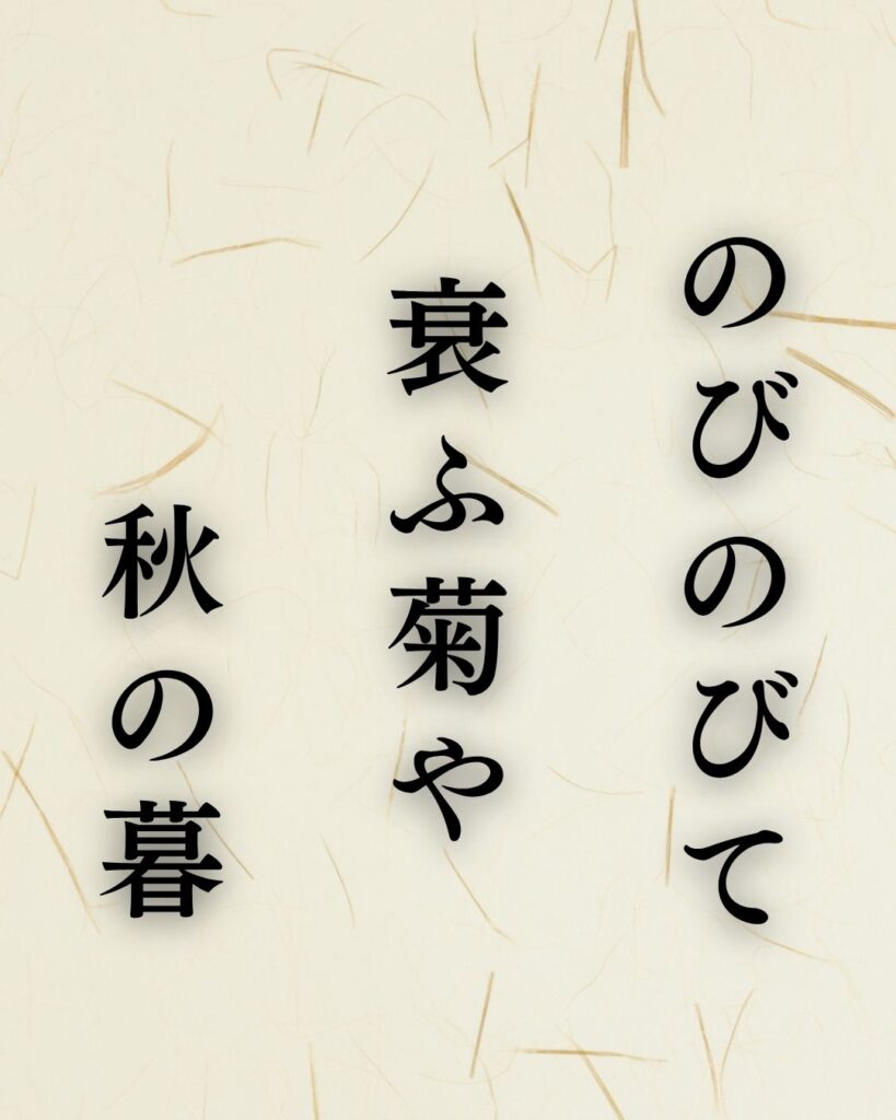 森川許六の秋の俳句5選-代表作をわかりやすく解説!「のびのびて 衰ふ菊や 秋の暮」この俳句を記載した画像