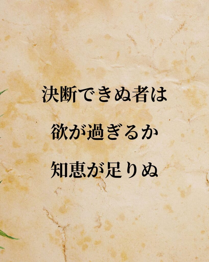 デカルト「決断できぬ者は、欲が過ぎるか知恵が足りぬ。」この名言のイラスト