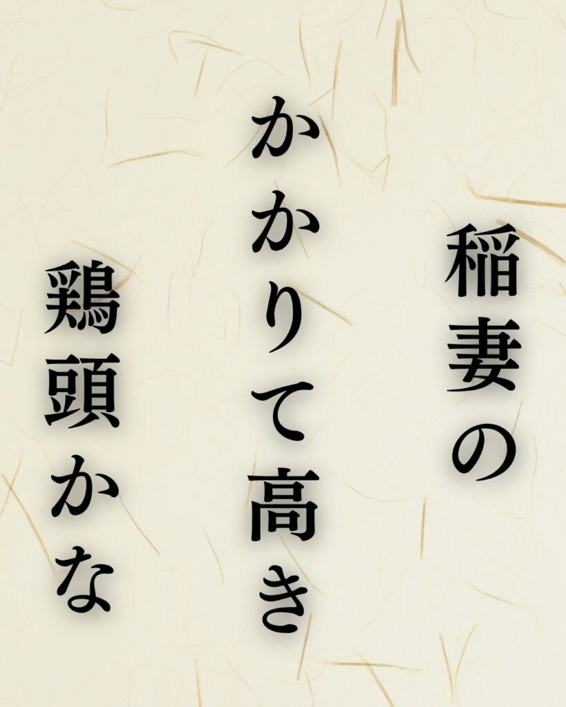 富安風生の秋の俳句5選-代表作をわかりやすく解説!「稲妻の かかりて高き 鶏頭かな」この俳句を記載した画像