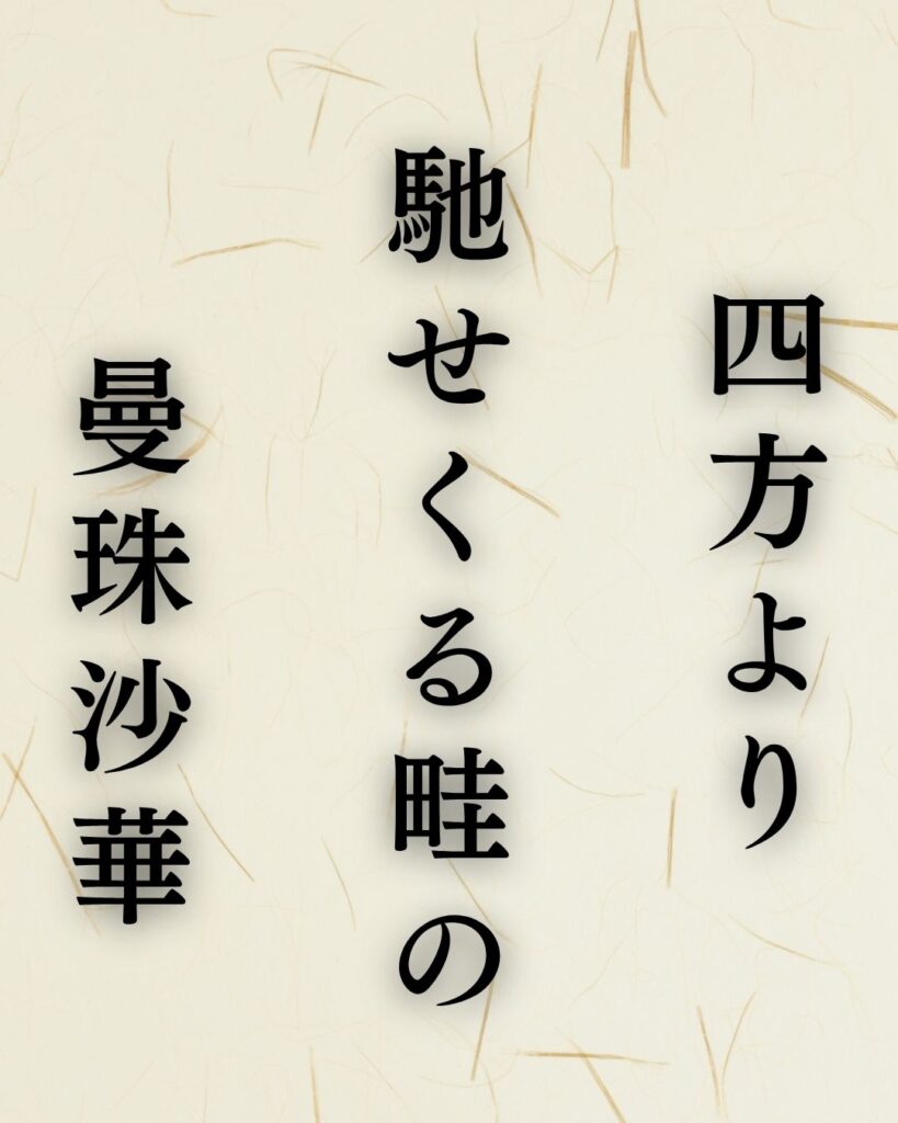 中村汀女の秋の俳句5選-代表作をわかりやすく解説!「四方より 馳せくる畦の 曼珠沙華」この俳句を記載した画像