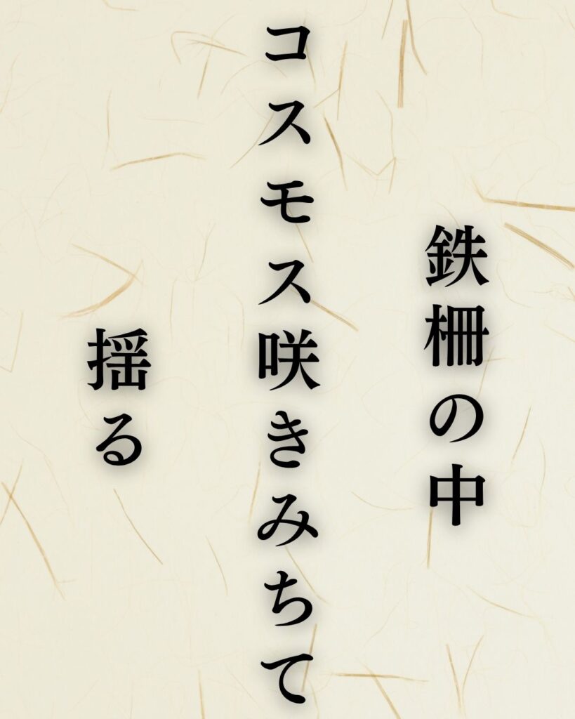 種田山頭火の秋の俳句5選-代表作をわかりやすく解説！「鉄柵の中　コスモス咲きみちて　揺る」この俳句を記載した画像