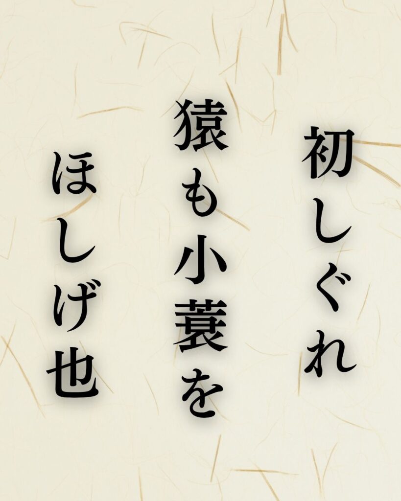 松尾芭蕉の冬の俳句5選-代表作をわかりやすく解説!「初しぐれ 猿も小蓑を ほしげ也」この俳句を記載した画像