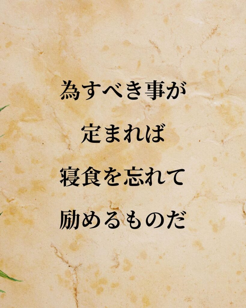 豊臣秀吉「為すべき事が定まれば、寝食を忘れて励めるものだ。」この名言のイラスト