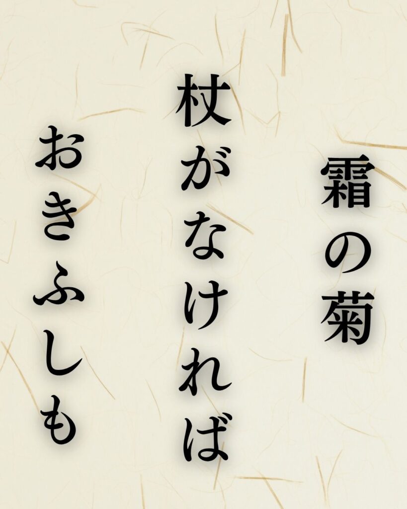 服部嵐雪の冬の俳句5選-代表作をわかりやすく解説！「霜の菊　杖がなければ　おきふしも」この俳句を記載した画像