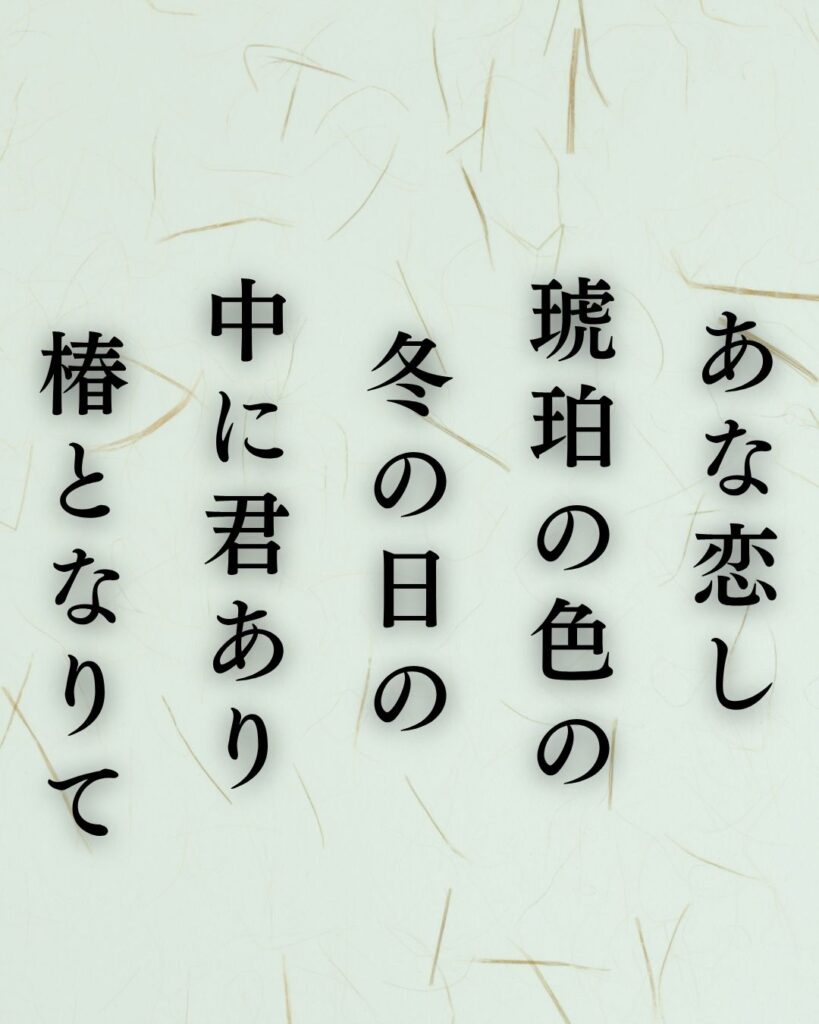 与謝野晶子の冬の短歌5選-代表作をわかりやすく解説！「あな恋し 琥珀の色の 冬の日の 中に君あり 椿となりて」この短歌を記載した画像
