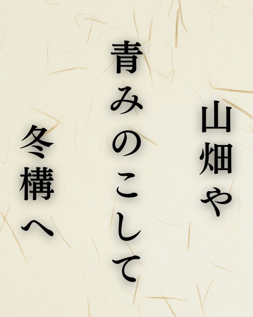 向井去来の冬の俳句5選-代表作をわかりやすく解説!「山畑や 青みのこして 冬構へ」この俳句を記載した画像