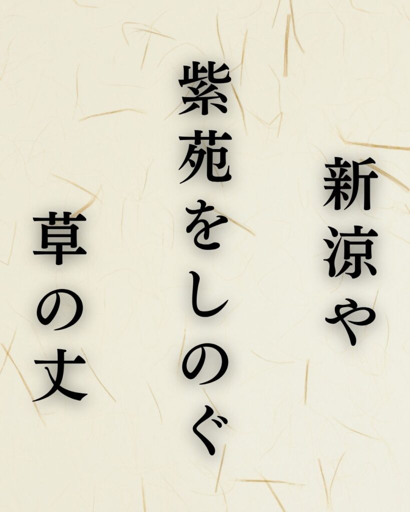 杉田久女の秋の俳句5選-代表作をわかりやすく解説！「新涼や　紫苑をしのぐ　草の丈」この俳句を記載した画像