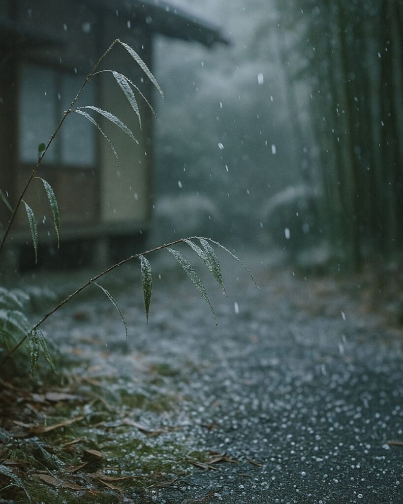 正岡子規の冬の短歌5選-代表作をわかりやすく解説！「霜枯の 庭に残りし 竹の葉を ちからにさわぐ 玉霰かな」この短歌をイメージした画像