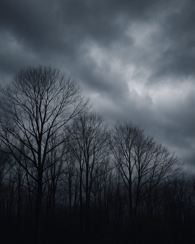 与謝野晶子の冬の短歌5選-代表作をわかりやすく解説！「冬は憂し 木立も上の 大ぞらも 牛の角かと 思ふ色する」この短歌をイメージした画像