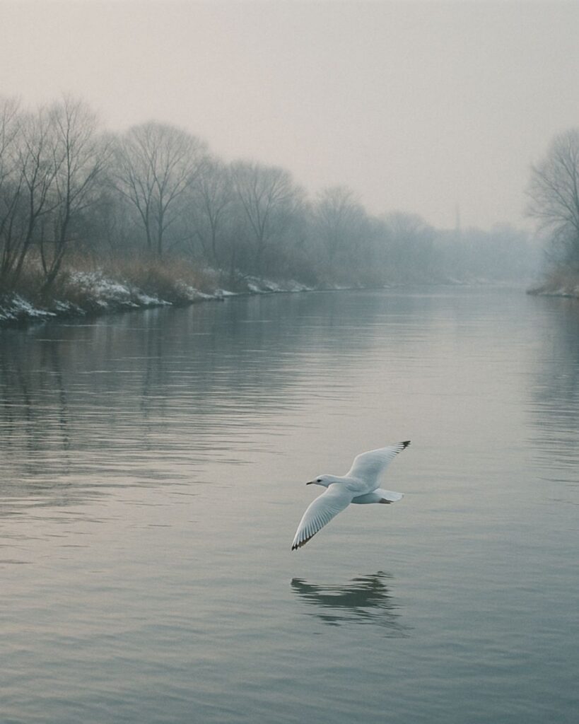 正岡子規の冬の短歌5選-代表作をわかりやすく解説！「あぢきなき 世をさけし身も 都鳥 都のたより きかまほしけれ」この短歌をイメージした画像