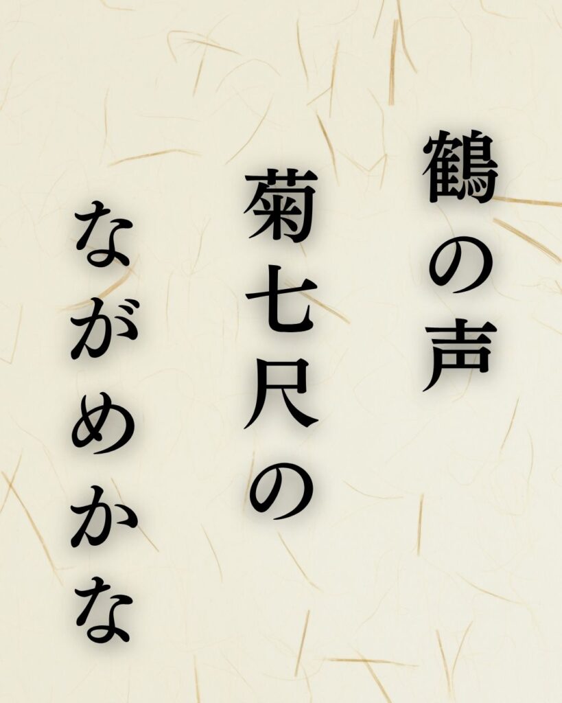 服部嵐雪の冬の俳句5選-代表作をわかりやすく解説！「鶴の声　菊七尺の　ながめかな」この俳句を記載した画像