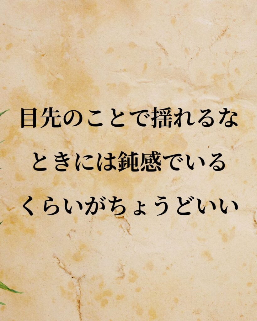 「小泉純一郎」「目先のことで揺れるな。ときには鈍感でいるくらいがちょうどいい。」この名言を記載した画像
