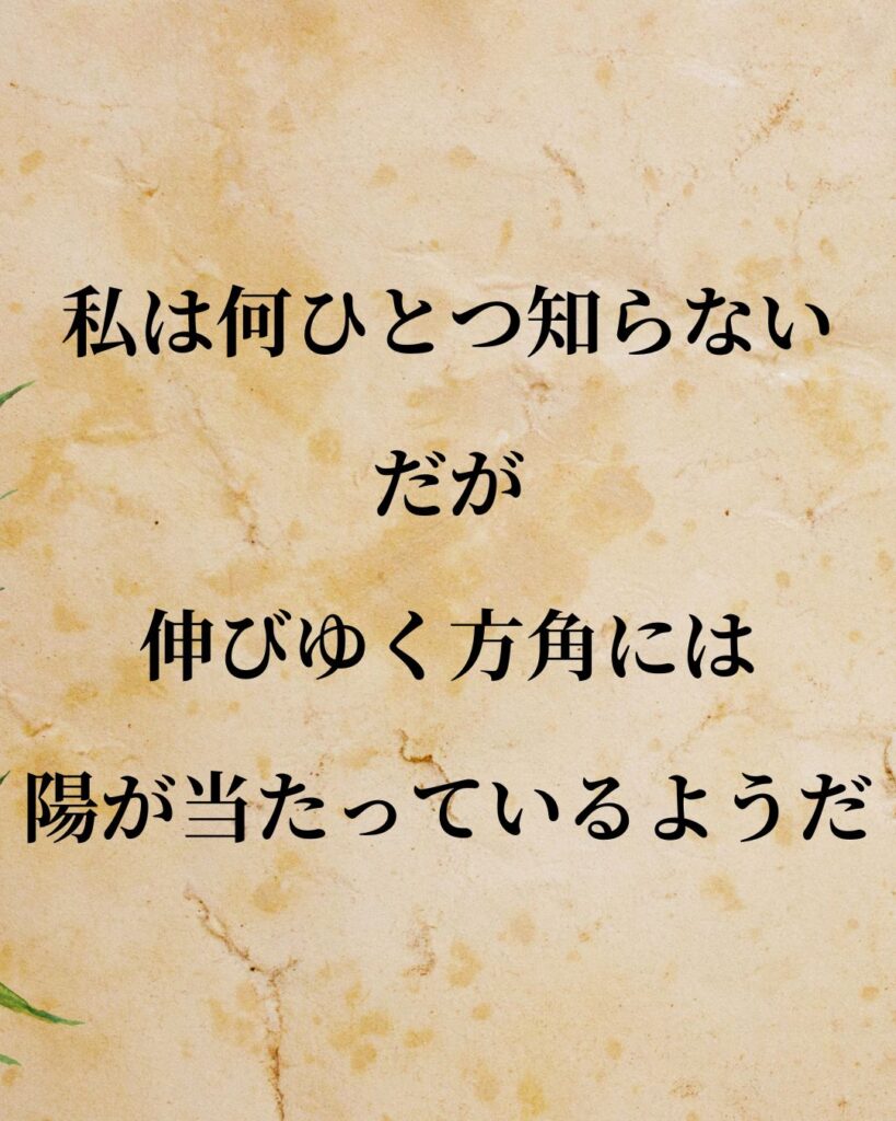 太宰治「私は何ひとつ知らない。だが、伸びゆく方角には陽が当たっているようだ。」この名言のイラスト