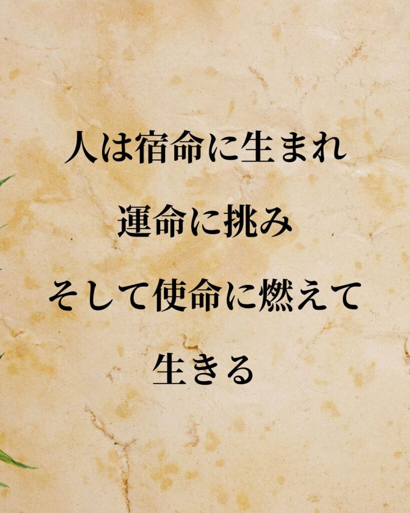 「小渕恵三」「人は宿命に生まれ、運命に挑み、そして使命に燃えて生きる。」この名言を記載した画像
