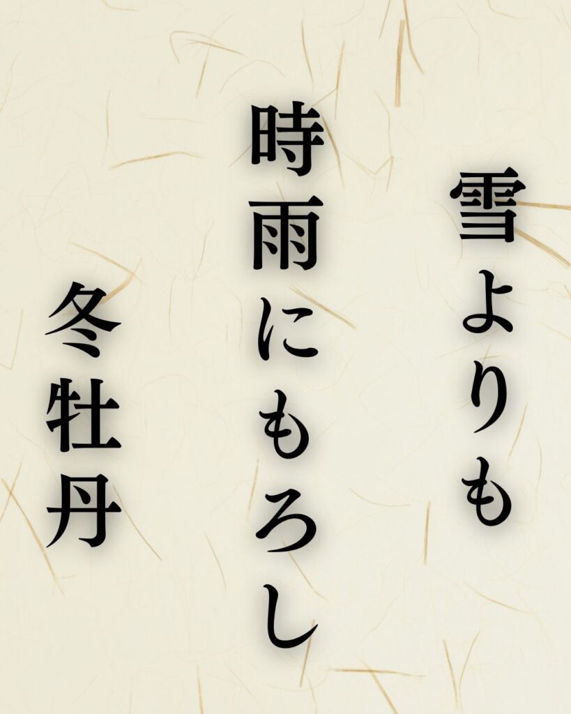正岡子規の冬の俳句5選-代表作をわかりやすく解説！「雪よりも　時雨にもろし　冬牡丹」この俳句を記載した画像