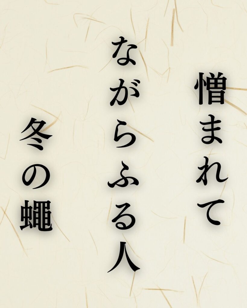宝井其角の冬の俳句5選-代表作をわかりやすく解説！「憎まれて　ながらふる人　冬の蠅」この俳句を記載した画像