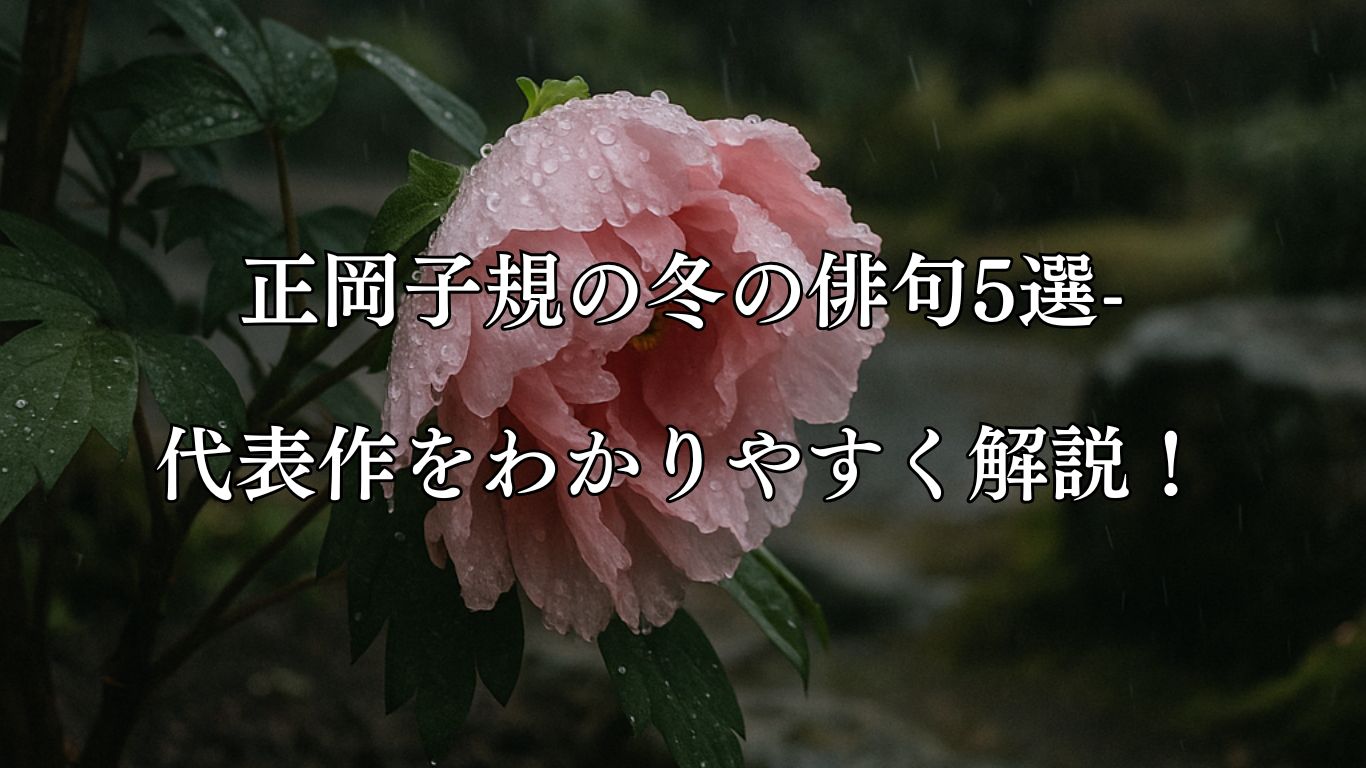 「正岡子規の冬の俳句5選-代表作をわかりやすく解説！「雪よりも　時雨にもろし　冬牡丹」この俳句をイメージした画像」背景用
