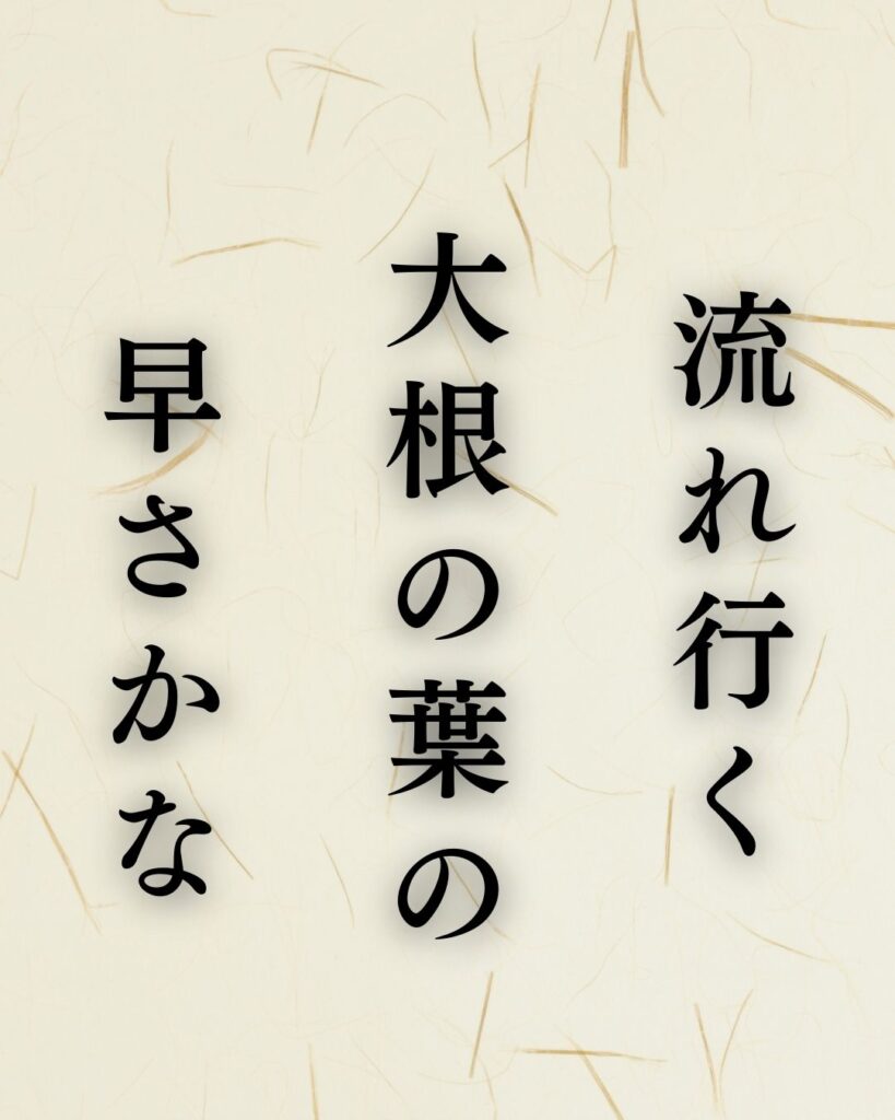高浜虚子の冬の俳句5選-代表作をわかりやすく解説!「流れ行く 大根の葉の 早さかな」この俳句を記載した画像