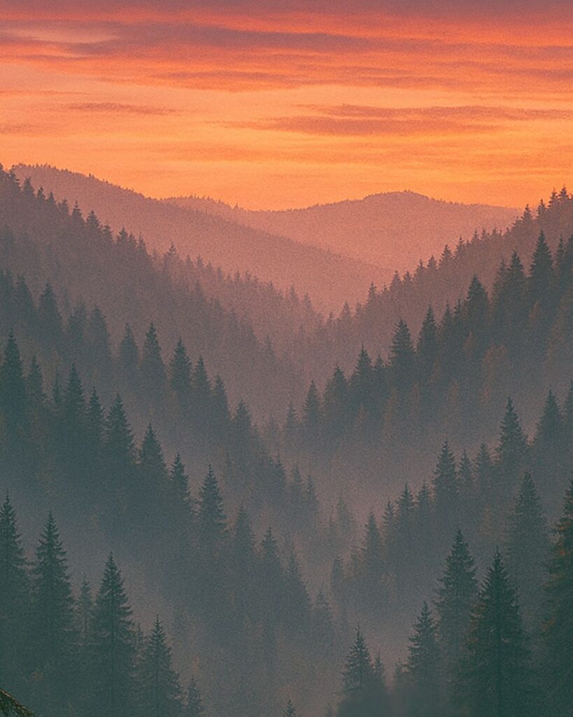 百人一首第87番 寂蓮『村雨の』背景解説–霧立つ夕べ「村雨の　露もまだ干ぬ　真木の葉に　霧立ちのぼる　秋の夕暮れ」の情景をテーマにしたイメージの画像
