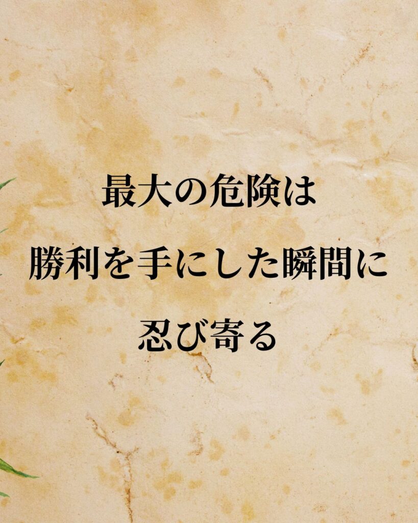 ナポレオン「最大の危険は、勝利を手にした瞬間に忍び寄る。」この名言のイラスト