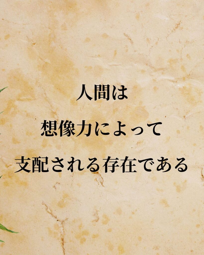 ナポレオン「人間は、想像力によって支配される存在である。」この名言のイラスト