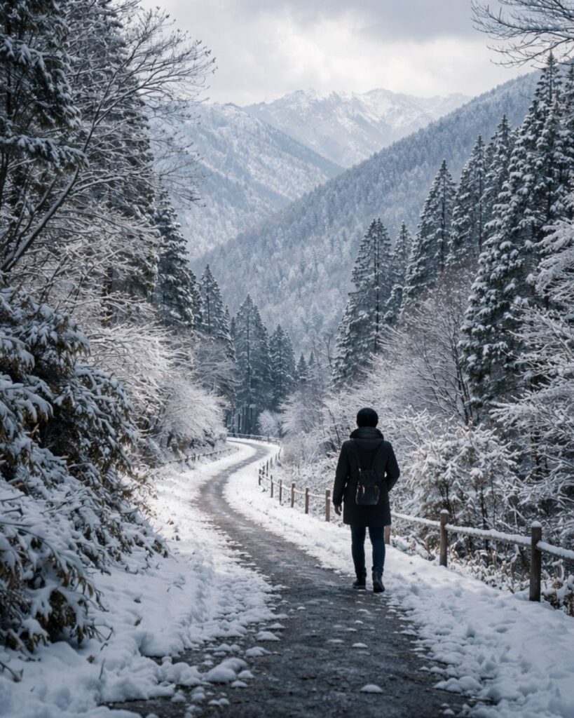 与謝野鉄幹の冬の短歌5選-代表作をわかりやすく解説！「かへるさの 百二十里は 寒かりき 箱根の雪の うれのみか君」この短歌をイメージした画像