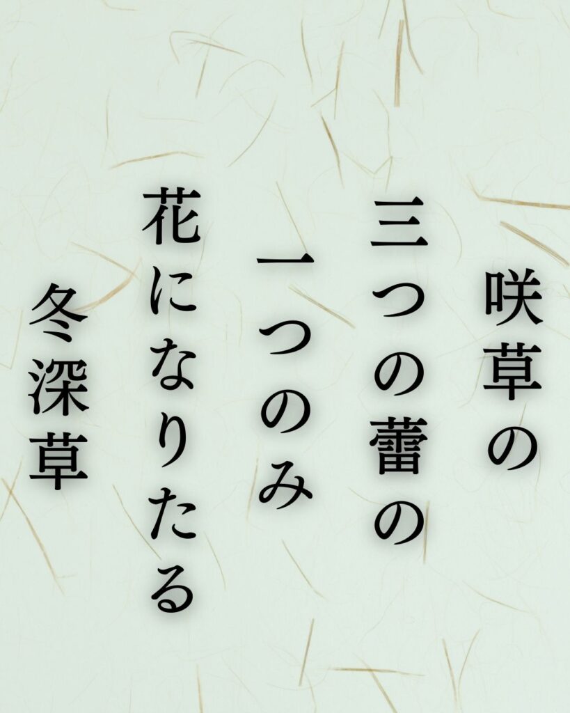 伊藤左千夫の冬の短歌5選-代表作をわかりやすく解説！「咲草の 三つの蕾の 一つのみ 花になりたる 冬深草」この短歌を記載した画像
