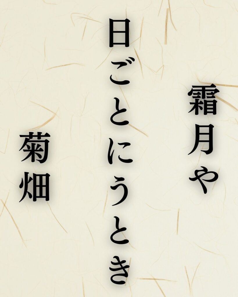 高浜虚子の冬の俳句5選-代表作をわかりやすく解説!「霜月や 日ごとにうとき 菊畑」この俳句を記載した画像