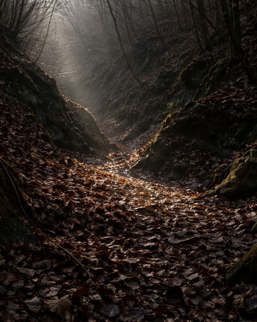 斎藤茂吉の冬の短歌5選-代表作をわかりやすく解説！「谷底を 日は照らしたり 谷そこに ふかき落葉の 朽ちし色はや」この短歌をイメージした画像