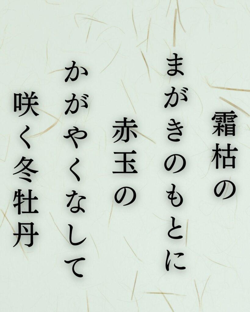 伊藤左千夫の冬の短歌5選-代表作をわかりやすく解説！「霜枯の まがきのもとに 赤玉の かがやくなして 咲く冬牡丹」この短歌を記載した画像