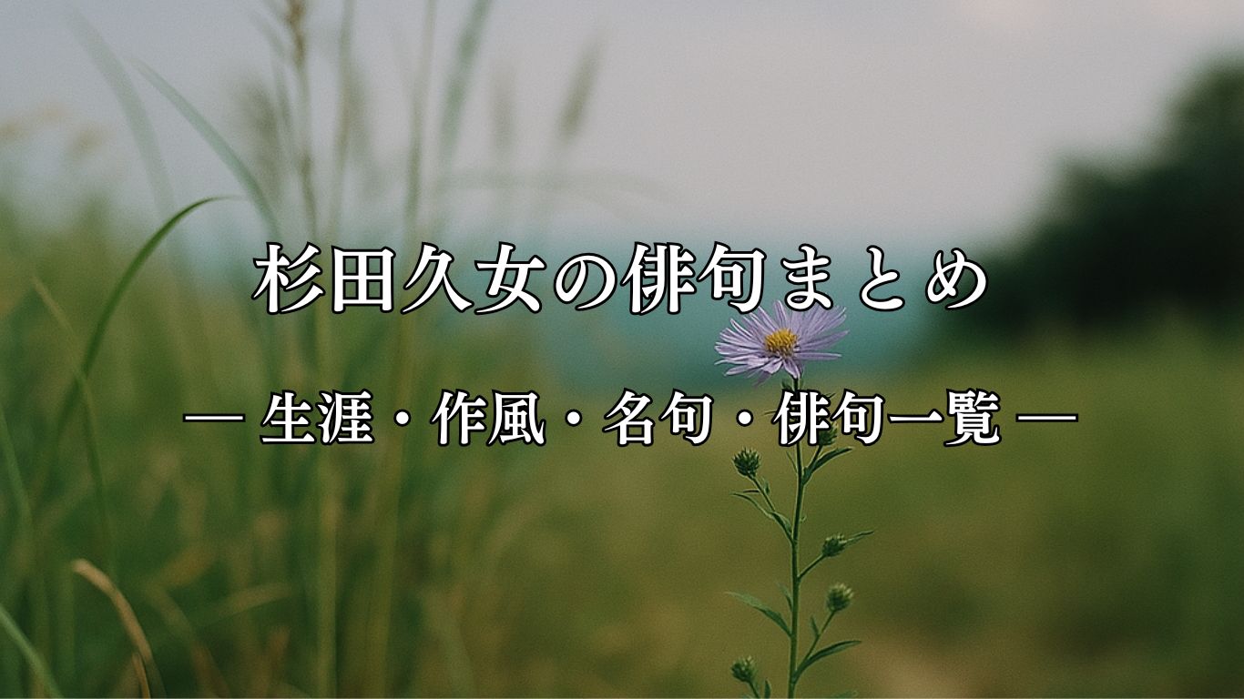 杉田久女の俳句まとめ ― 生涯・作風・名句・俳句一覧 ―「新涼や　紫苑をしのぐ　草の丈」杉田久女俳句イメージ画像