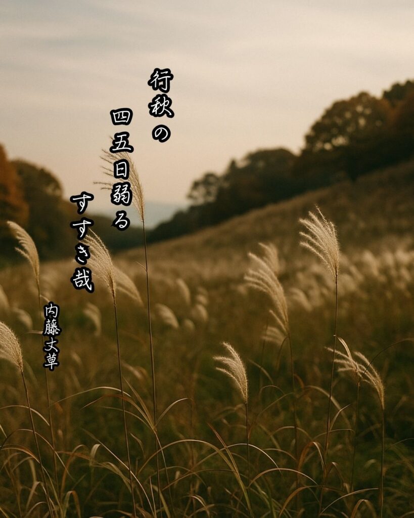 内藤丈草の俳句まとめ ― 生涯・作風・名句・俳句一覧 ―「行秋の 四五日弱る すすき哉」内藤丈草俳句イメージ画像