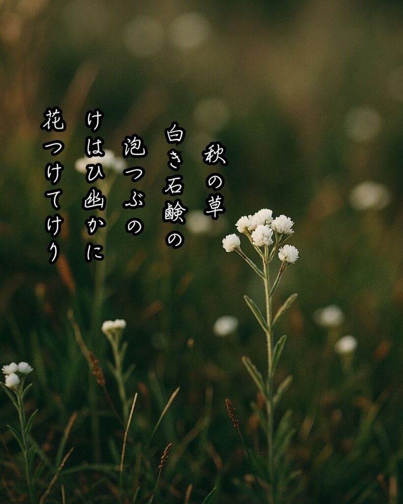 秋の草 白き石鹸の 泡つぶの けはひ幽かに 花つけてけり