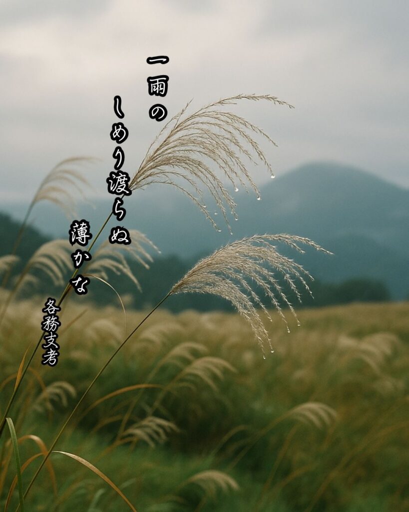 各務支考の俳句まとめ ― 生涯・作風・名句・俳句一覧 ―「一雨の しめり渡らぬ 薄かな」各務支考俳句イメージ画像