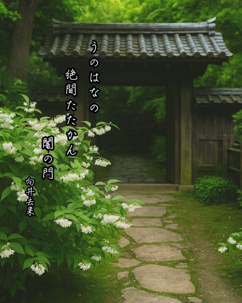 向井去来の俳句まとめ ― 生涯・作風・名句・俳句一覧 ―「うのはなの 絶間たたかん 闇の門」向井去来俳句イメージ画像