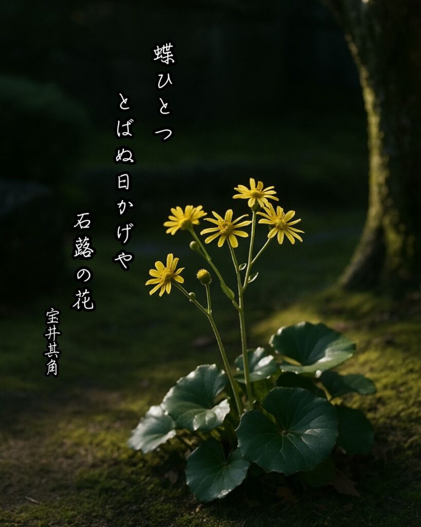 宝井其角の俳句まとめ ― 生涯・作風・名句・俳句一覧 ―「蝶ひとつ　とばぬ日かげや　石蕗の花」宝井其角俳句イメージ画像
