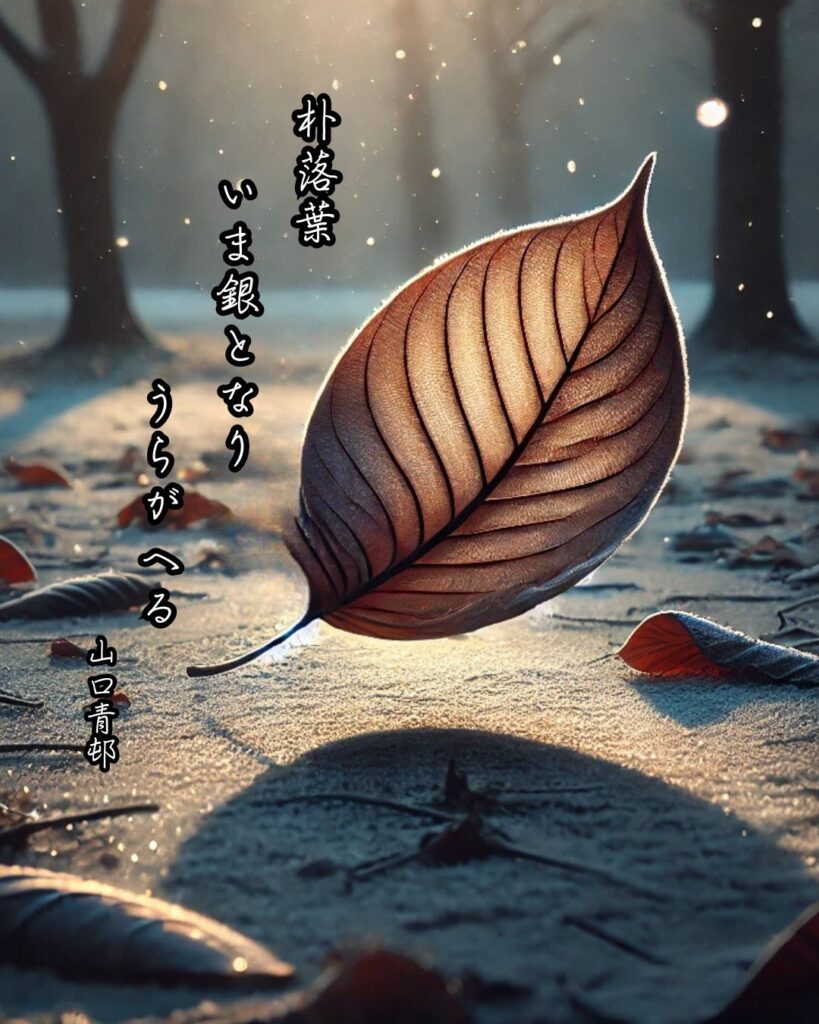 山口青邨の俳句まとめ ― 生涯・作風・名句・俳句一覧 ―「朴落葉　いま銀となり　うらがへる」山口青邨俳句イメージ画像
