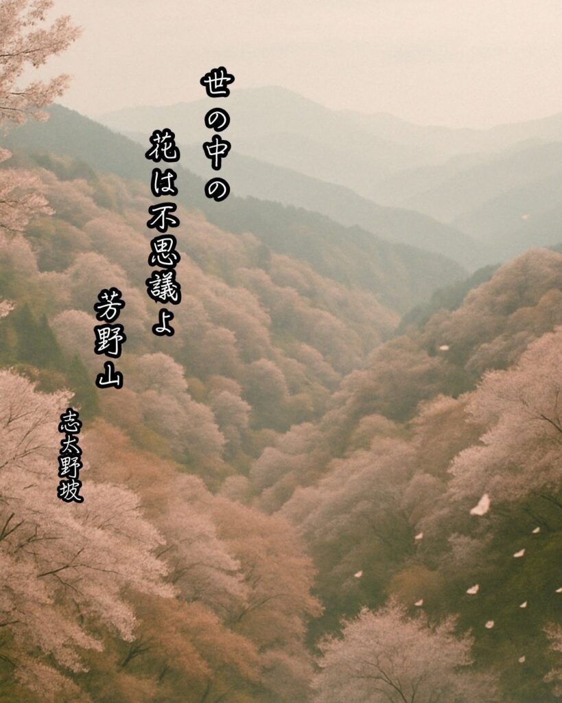 志太野坡の俳句まとめ ― 生涯・作風・名句・俳句一覧 ―「世の中の 花は不思議よ 芳野山」志太野坡俳句イメージ画像