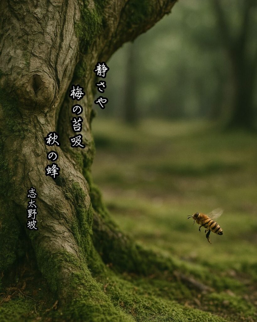 志太野坡の俳句まとめ ― 生涯・作風・名句・俳句一覧 ―「静さや 梅の苔吸 秋の蜂」志太野坡俳句イメージ画像
