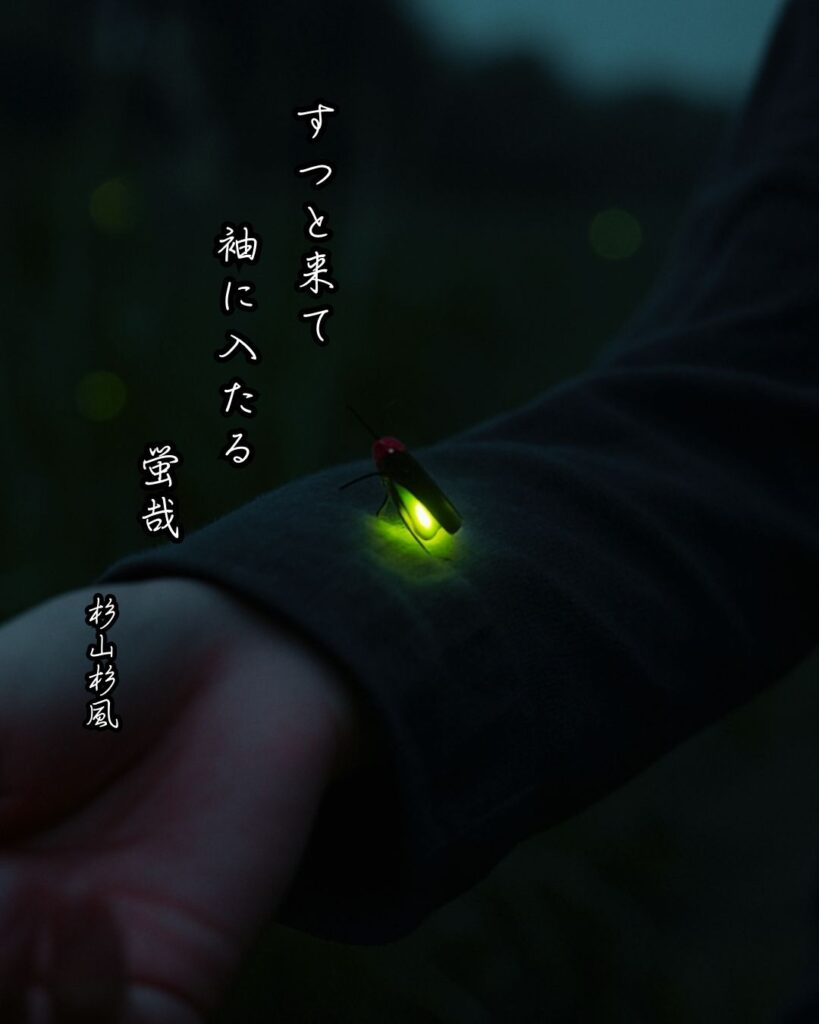 杉山杉風の俳句まとめ ― 生涯・作風・名句・俳句一覧 ―「すつと来て　袖に入たる　蛍哉」杉山杉風俳句イメージ画像
