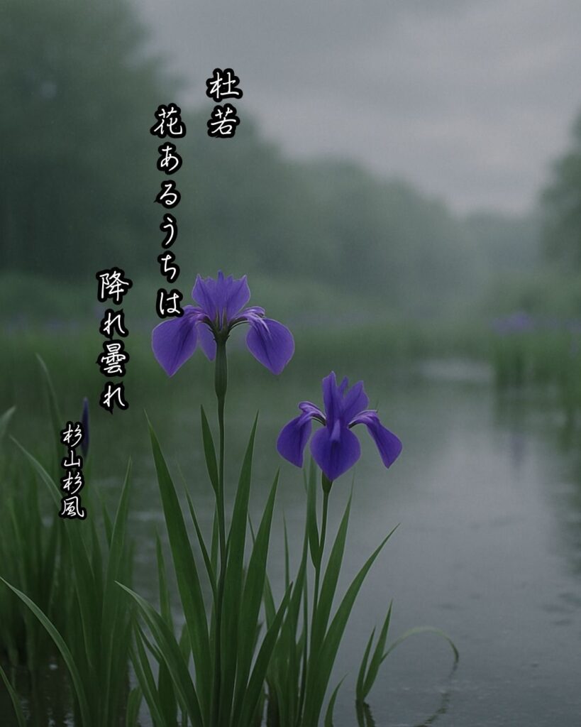 杉山杉風の俳句まとめ ― 生涯・作風・名句・俳句一覧 ―「杜若　花あるうちは　降れ曇れ」杉山杉風俳句イメージ画像
