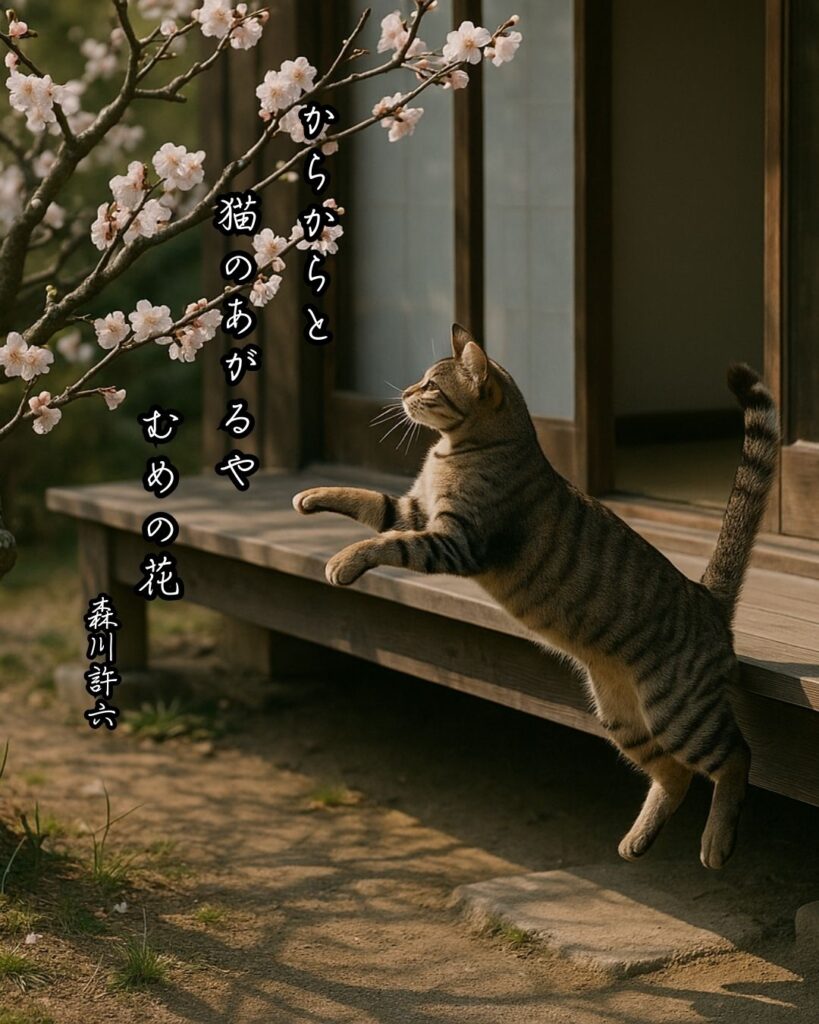 森川許六の俳句まとめ ― 生涯・作風・名句・俳句一覧 ―「からからと 猫のあがるや むめの花」森川許六俳句イメージ画像