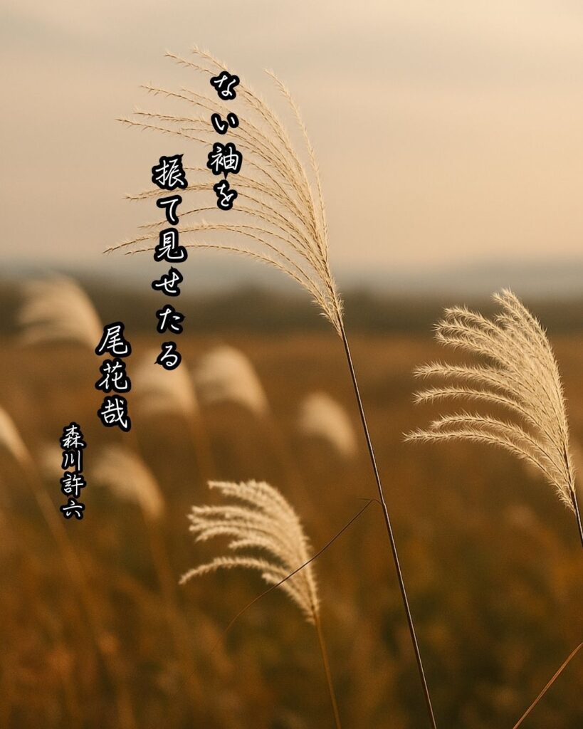 森川許六の俳句まとめ ― 生涯・作風・名句・俳句一覧 ―「ない袖を 振て見せたる 尾花哉」森川許六俳句イメージ画像