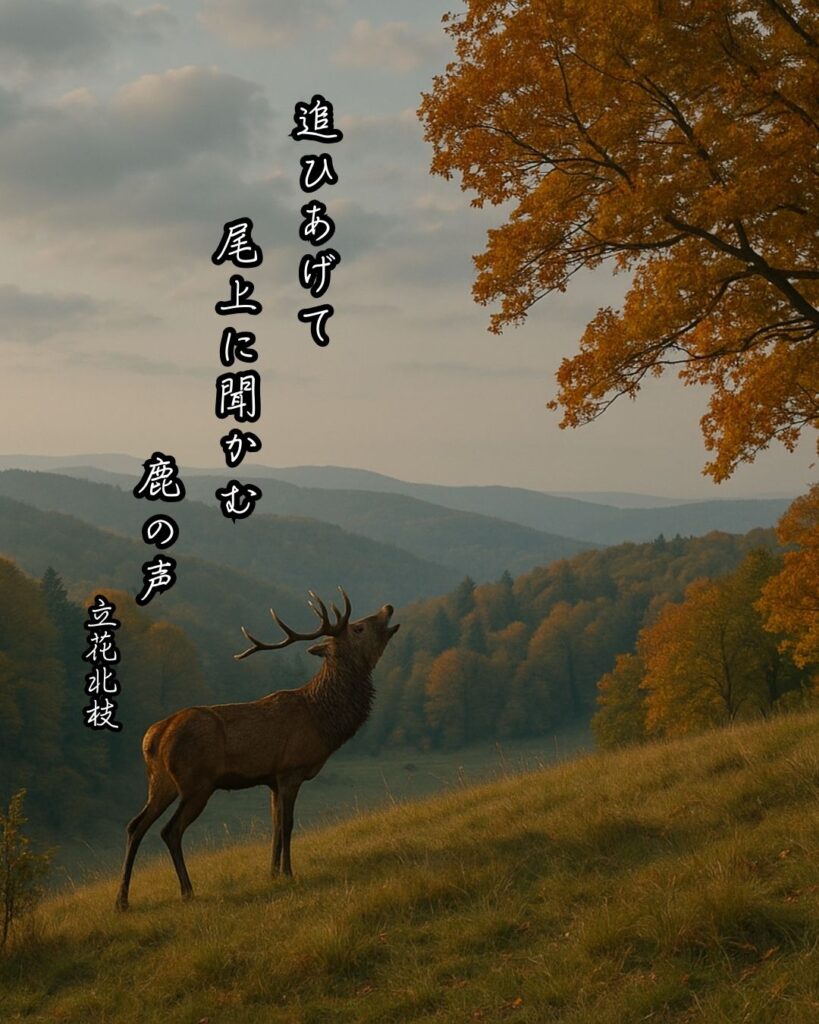 立花北枝の俳句まとめ ― 生涯・作風・名句・俳句一覧 ―「追ひあげて 尾上に聞かむ 鹿の声」立花北枝俳句イメージ画像